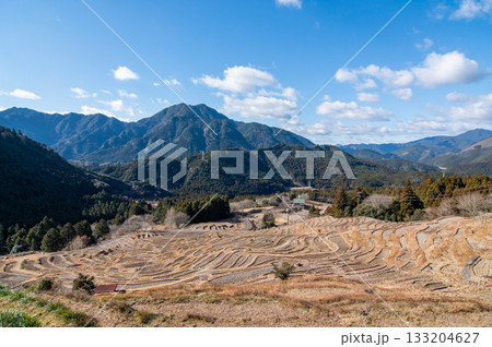 冬の丸山千枚田《三重県 熊野市》 133204627