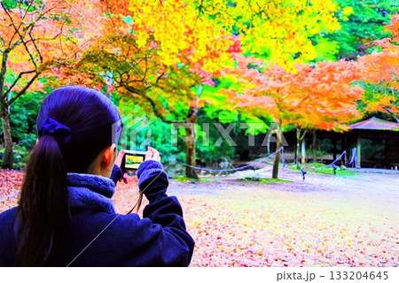 日本三景宮島紅葉谷公園の紅葉を撮影する女性の後ろ姿 133204645