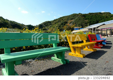 カラフルなベンチが並ぶ農園 133204692