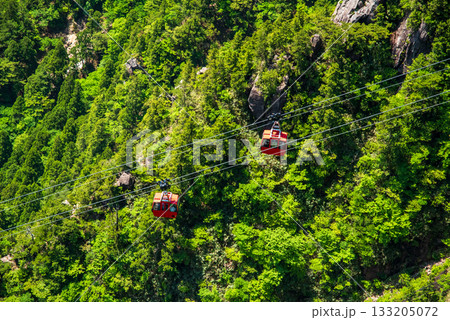 新緑シーズンの御在所ロープウエイ【山上周辺の絶景』 133205072