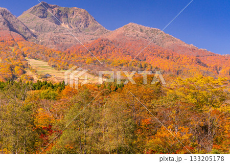 《新潟県》いもり池・紅葉最盛期の妙高高原 133205178