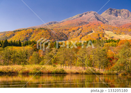 《新潟県》いもり池・紅葉最盛期の妙高高原 133205180