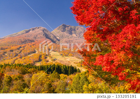 《新潟県》いもり池・紅葉最盛期の妙高高原 《新潟県》いもり池・紅葉最盛期の妙高高原 133205191