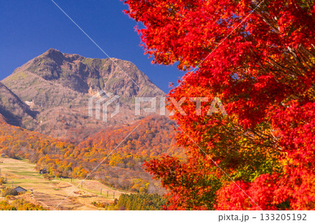 《新潟県》いもり池・紅葉最盛期の妙高高原 《新潟県》いもり池・紅葉最盛期の妙高高原 133205192
