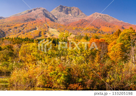 《新潟県》いもり池・紅葉最盛期の妙高高原 133205198