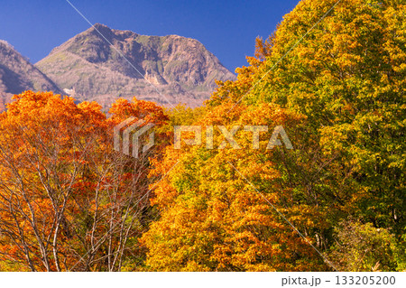 《新潟県》いもり池・紅葉最盛期の妙高高原 133205200