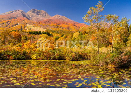 《新潟県》いもり池・紅葉最盛期の妙高高原 133205203