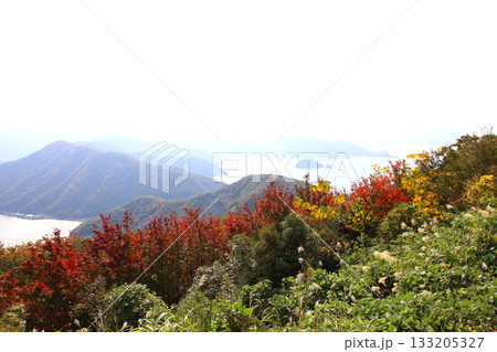 三方テラス　三方五湖レインボーライン　山頂公園　日本海　水月湖　日向湖　菅湖　久々子湖　若狭湾　 133205327