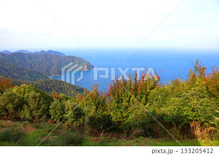 三方テラス　三方五湖レインボーライン　山頂公園　日本海　水月湖　日向湖　菅湖　久々子湖　若狭湾 133205412