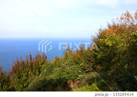 三方テラス　三方五湖レインボーライン　山頂公園　日本海　水月湖　日向湖　菅湖　久々子湖　若狭湾 133205414