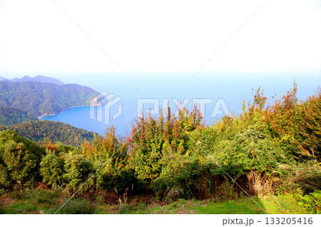 三方テラス　三方五湖レインボーライン　山頂公園　日本海　水月湖　日向湖　菅湖　久々子湖　若狭湾 133205416
