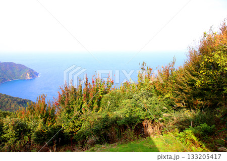 三方テラス　三方五湖レインボーライン　山頂公園　日本海　水月湖　日向湖　菅湖　久々子湖　若狭湾 133205417