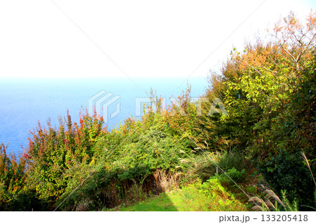 三方テラス　三方五湖レインボーライン　山頂公園　日本海　水月湖　日向湖　菅湖　久々子湖　若狭湾 133205418