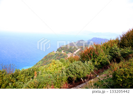 三方テラス 三方五湖レインボーライン 山頂公園 日本海 水月湖 日向湖 菅湖 久々子湖 若狭湾 三方テラス 三方五湖レインボーライン 山頂公園 日本海 水月湖 日向湖 菅湖 久々子湖 若狭湾 133205442