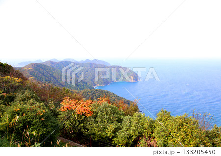 三方テラス　三方五湖レインボーライン　山頂公園　日本海　水月湖　日向湖　菅湖　久々子湖　若狭湾 133205450