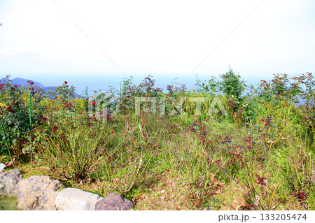 三方テラス 三方五湖レインボーライン 山頂公園 日本海 水月湖 日向湖 菅湖 久々子湖 若狭湾 三方テラス 三方五湖レインボーライン 山頂公園 日本海 水月湖 日向湖 菅湖 久々子湖 若狭湾 133205474