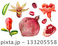 Pomegranate, hand-drawn watercolor illustration. Pomegranate fruits, pomegranate seeds, leaves, and flowers, hand-drawn in watercolor. 133205558