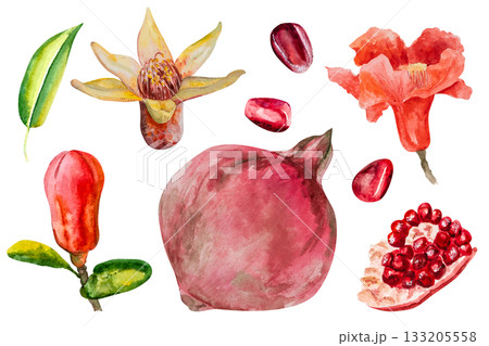 Pomegranate, hand-drawn watercolor illustration. Pomegranate fruits, pomegranate seeds, leaves, and flowers, hand-drawn in watercolor. Pomegranate, hand-drawn watercolor illustration. Pomegranate fruits, pomegranate seeds, leaves, and flowers, hand-drawn in watercolor. 133205558