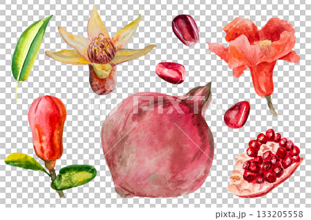 Pomegranate, hand-drawn watercolor illustration. Pomegranate fruits, pomegranate seeds, leaves, and flowers, hand-drawn in watercolor. Pomegranate, hand-drawn watercolor illustration. Pomegranate fruits, pomegranate seeds, leaves, and flowers, hand-drawn in watercolor. 133205558