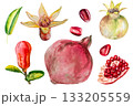 Pomegranate, hand-drawn watercolor illustration. Pomegranate fruits, pomegranate seeds, leaves, and flowers, hand-drawn in watercolor. 133205559