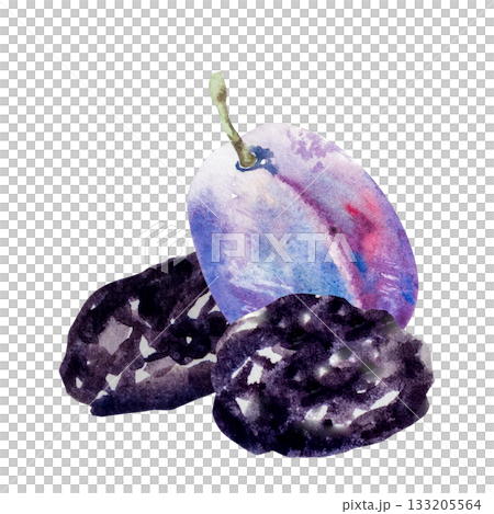 Prunes, dried plum, watercolor illustration, hand drawing Prunes, dried plum, watercolor illustration, hand drawing 133205564