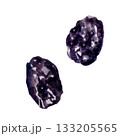 Prunes, dried plum, watercolor illustration, hand drawing 133205565