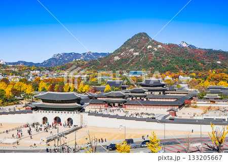 秋のソウル　景福宮（キョンボックン） 133205667