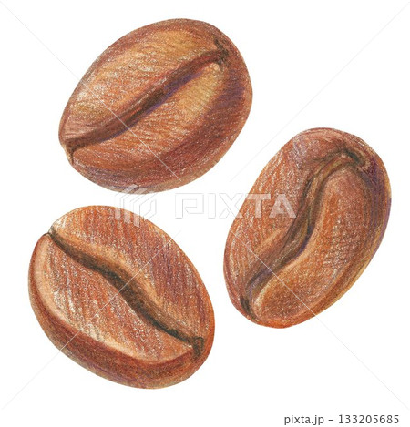 Hand drawn illustration with coffee beans for graphic design. Isolated colored pencil illustration on white background. Coffee collection. 133205685