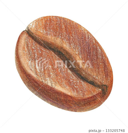 Hand drawn illustration with coffee bean for graphic design. Isolated colored pencil illustration on white background. Coffee collection. 133205748
