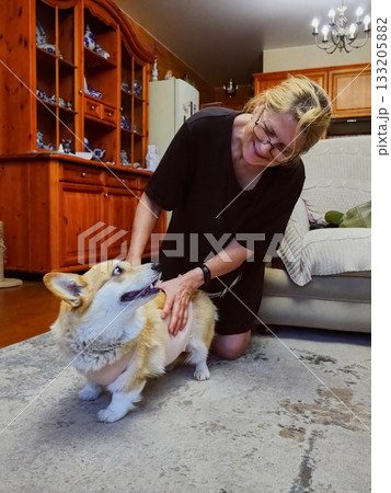 Woman Tying Bandage Dog Post-Surgery 133205882