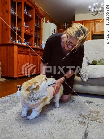 Woman Tying Bandage Dog Post-Surgery 133205884