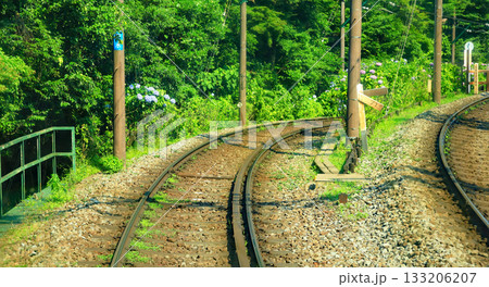 箱根アジサイ電車 133206207