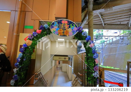 箱根アジサイ電車 133206219