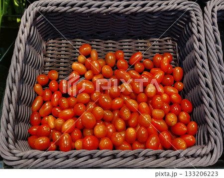 Fresh tomatoes in a basket, tomato harvest season concept, healthy vegetables. Fresh tomatoes in a basket, tomato harvest season concept, healthy vegetables. 133206223