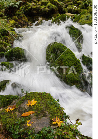 Waterfall in the autumn forest, cascade, stones Waterfall in the autumn forest, cascade, stones 133206300