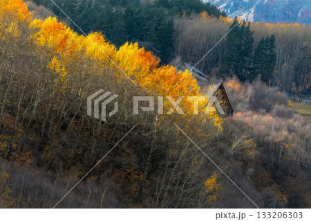 cozy wooden house and autumn forest 133206303