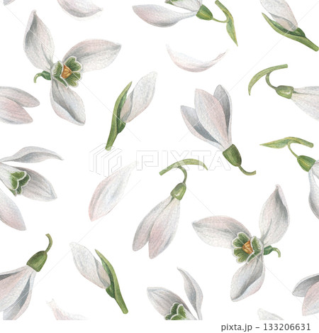 Cute seamless pattern of little snowdrop flowers and buds. Watercolor illustration hand drawn and isolated on a white background. Perfect for decorating packaging, wrapping papers, textiles, and more 133206631