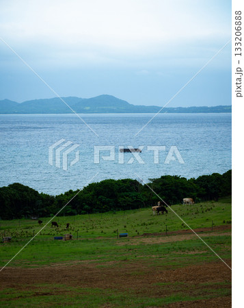 石垣島 133206888