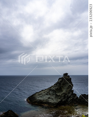 石垣島 133206923