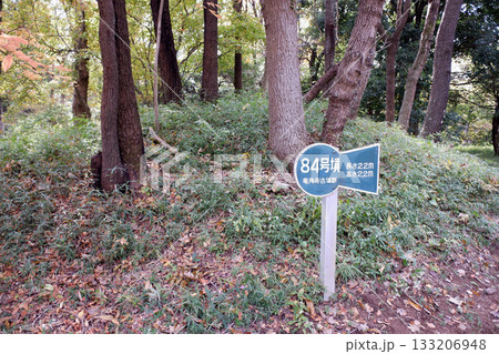 千葉県　龍角寺古墳群・84号墳 133206948