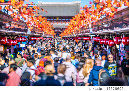 日本の東京都市景観驚きの光景…インバウンド続く…まるで異国…外国人観光客らで賑わう浅草寺＝17日 133206964