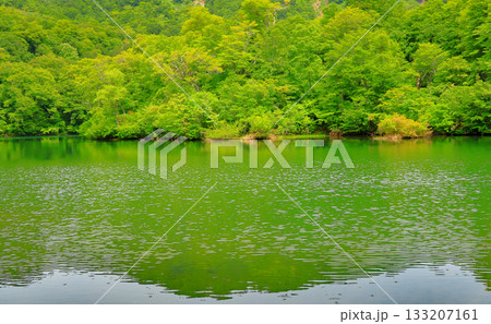 小谷村 鎌池 小谷村 鎌池 133207161