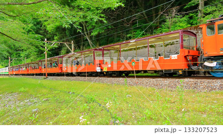 黒部渓谷トロッコ電車 133207523