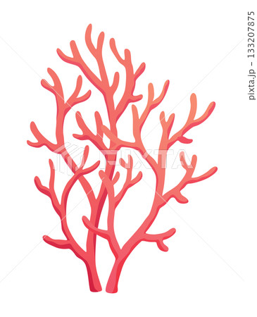 Seaweed and corals isolated on white background. Underwater algae. Aquarium plant. Vector marine life. Vector isolated corals and algae. Underwater flora Seaweed and corals isolated on white background. Underwater algae. Aquarium plant. Vector marine life. Vector isolated corals and algae. Underwater flora 133207875