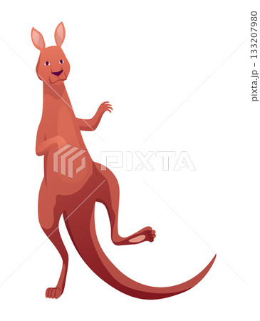 Kangaroo character posing. Adult kangaroo with pouch standing. Vector flat cartoon animal of australian fauna and wildlife, isolated on white background 133207980