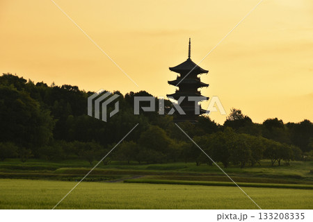 岡山 吉備路 備中国分寺の朝　五重塔 133208335