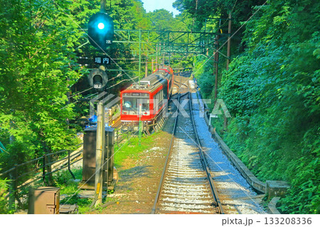 箱根アジサイ電車 133208336