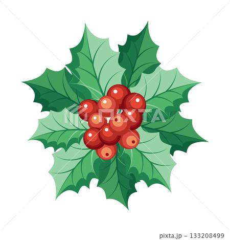 Christmas holly berry composition with red berries. Winter festive illustration. 133208499