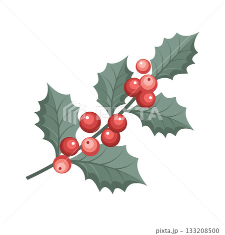 Christmas holly berry branch with red berries. Winter festive illustration. 133208500