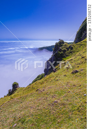 Fog Seascape from Mystical Fanal Forest,  Madeira, Portugal 133208732